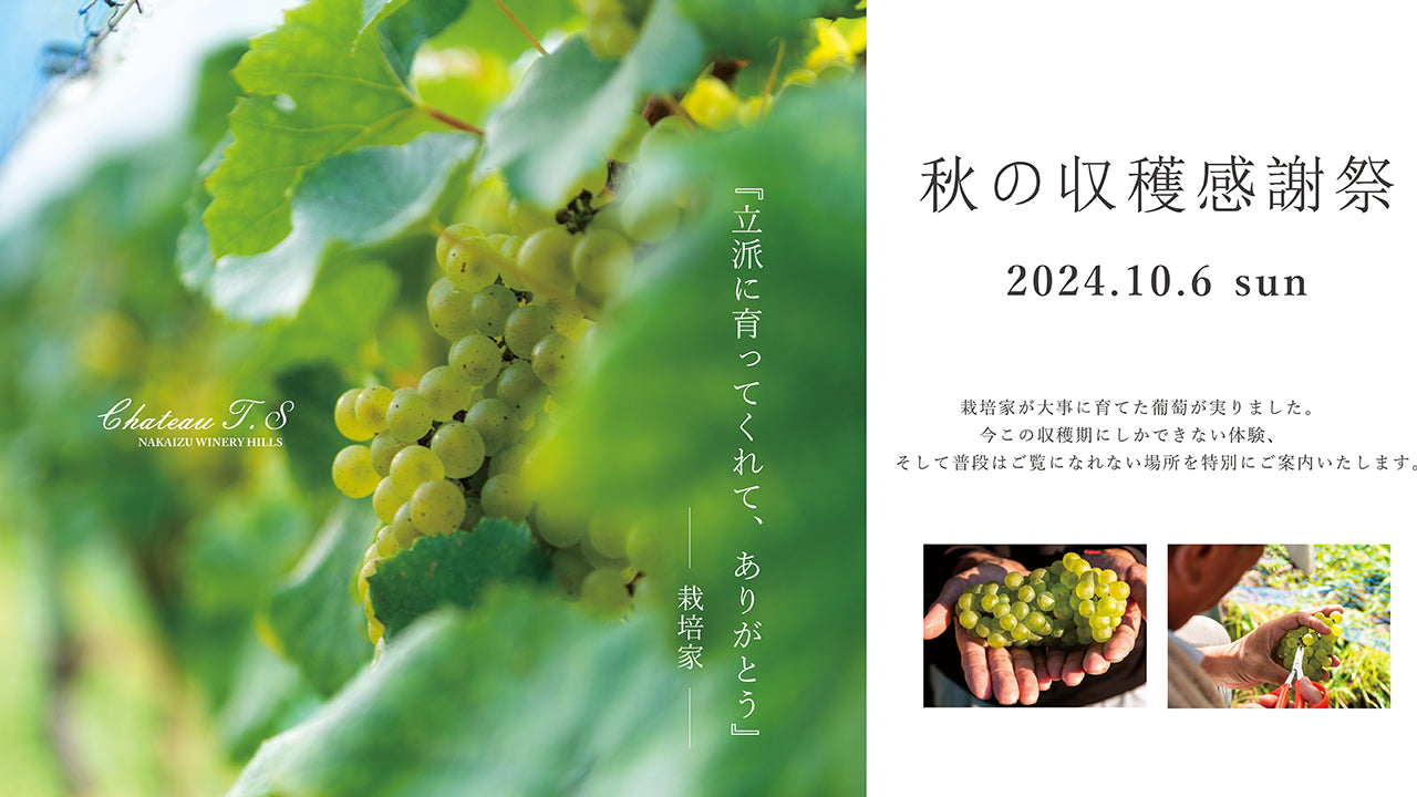 HP_3488a5f4-e035-4ce2-8c71-