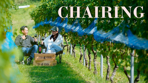 Chairing in the vineyards 