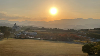 11月9日（日）「ヴィンヤードDAY」イベント中止のお知らせ