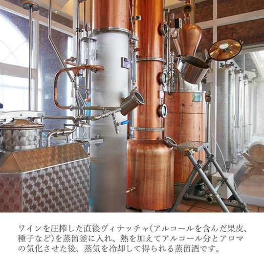 IZU陽炎BARREL – 【公式】中伊豆ワイナリーヒルズ / オンラインショップ