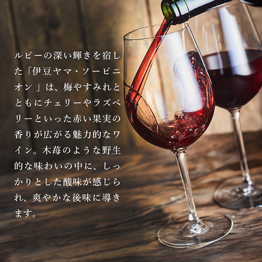 伊豆ヤマ・ソービニオン 2022 – 【公式】中伊豆ワイナリーヒルズ