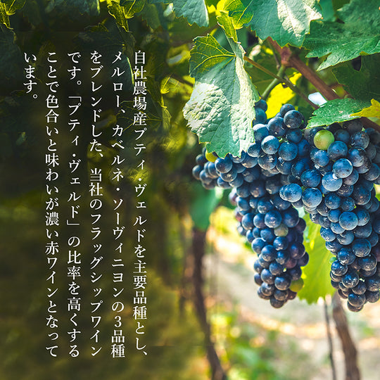 伊豆 シンフォニー レッド プレミアム 2019 750ml [2本セット] 伊豆 シンフォニーレッド 2021 プレミアム【中伊豆ワイナリー
