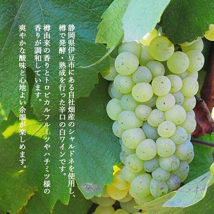 伊豆シャルドネ 2024 – 【公式】中伊豆ワイナリーヒルズ / オンライン