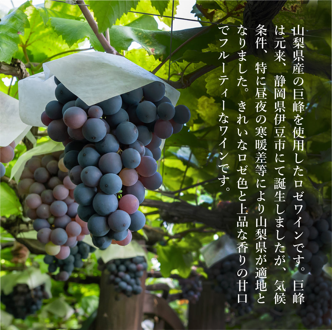 巨峰ロゼ【終売・入荷時期未定】 – 【公式】中伊豆ワイナリーヒルズ