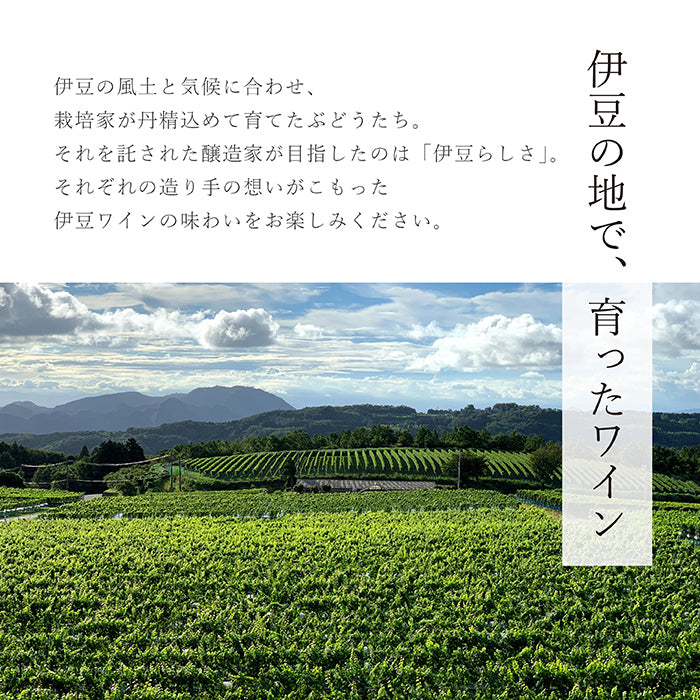 伊豆ヤマ・ソービニオン 2022 – 【公式】中伊豆ワイナリーヒルズ