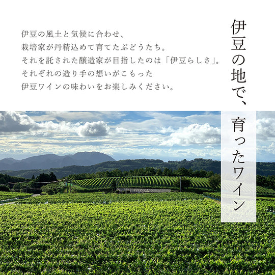 伊豆ヤマ・ソービニオン 2022 – 【公式】中伊豆ワイナリーヒルズ