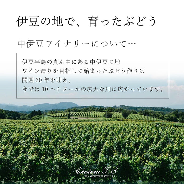 【送料無料】伊豆ワイン葡萄のお酢 12本セット