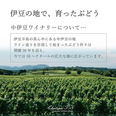 【送料無料】伊豆ワイン葡萄のお酢 6本セット