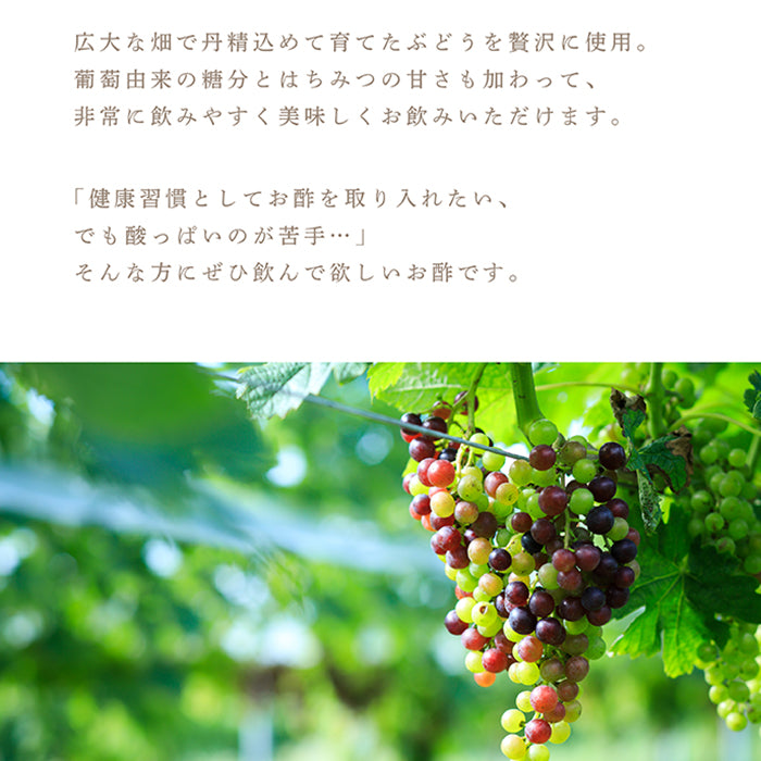 賞味期限:2026.2.21】伊豆ワイン葡萄のお酢 – 【公式】中伊豆