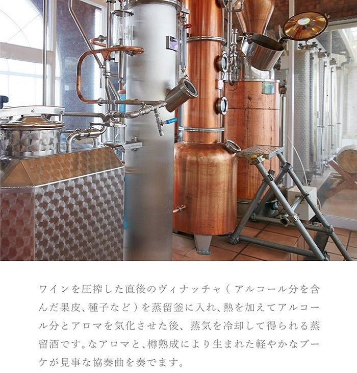 IZU陽炎BARREL （ブランデー）