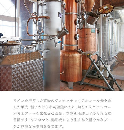 IZU陽炎BARREL （ブランデー）