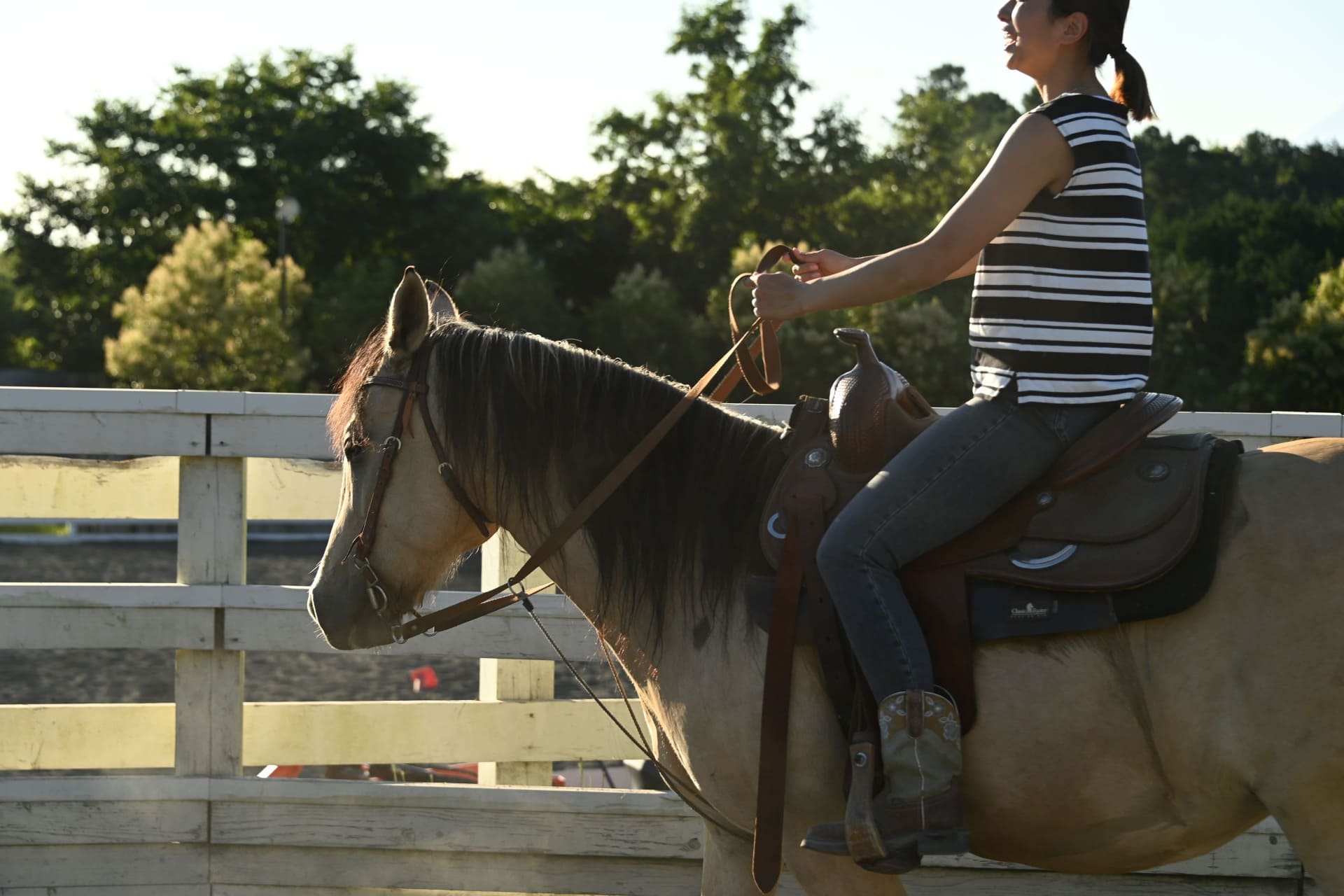Horseback Trail