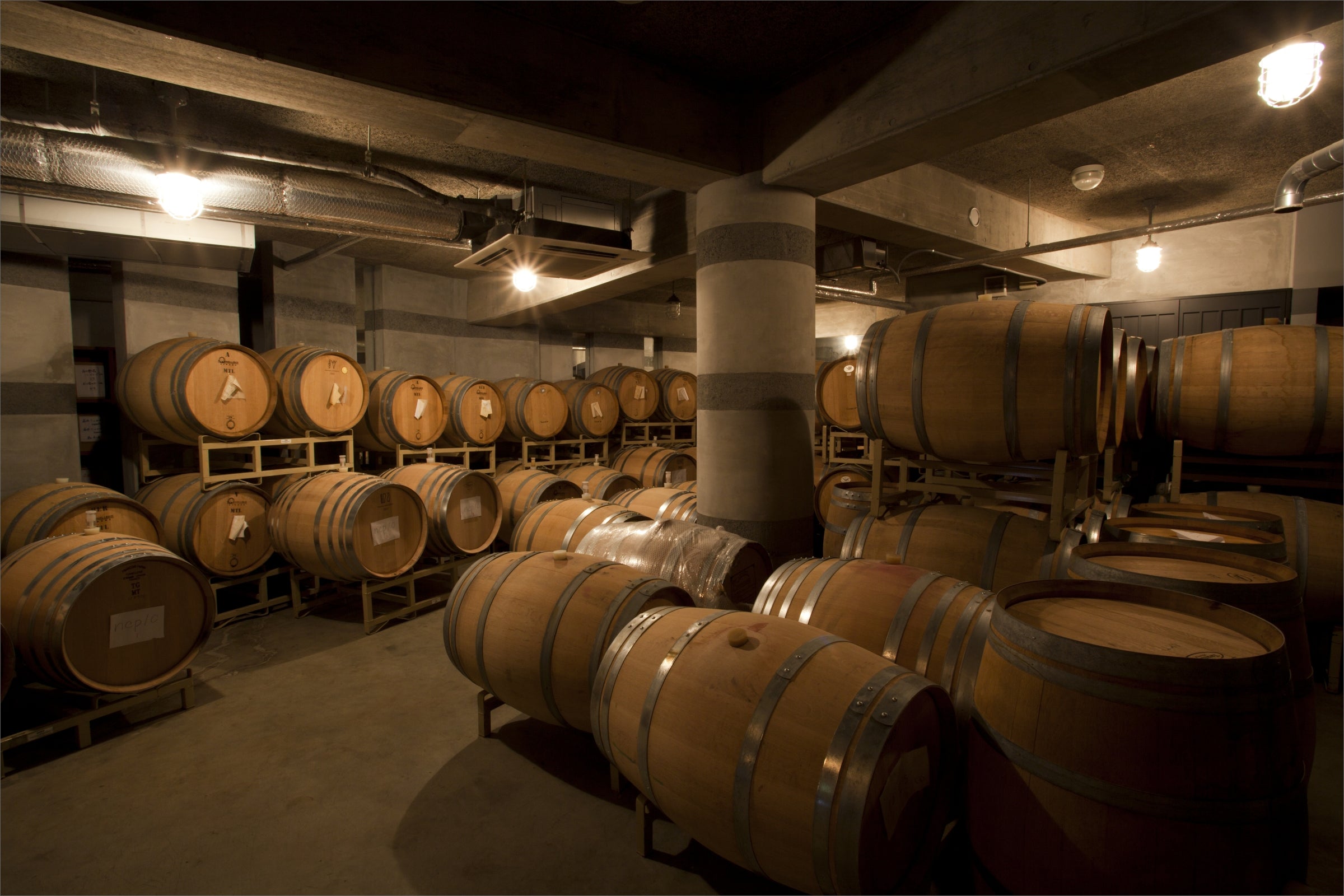 Winery & Cellar